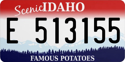 ID license plate E513155