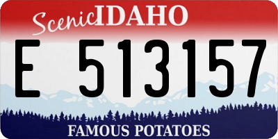 ID license plate E513157