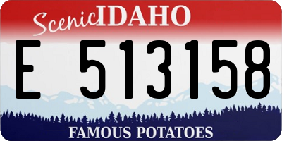 ID license plate E513158