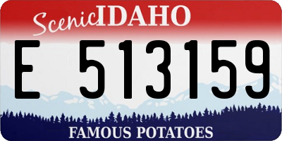 ID license plate E513159