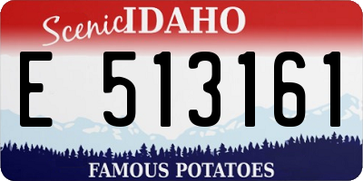 ID license plate E513161