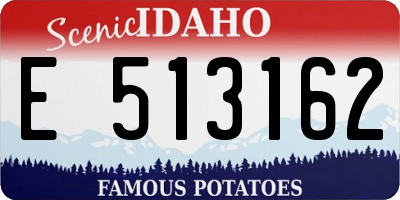 ID license plate E513162