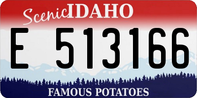 ID license plate E513166