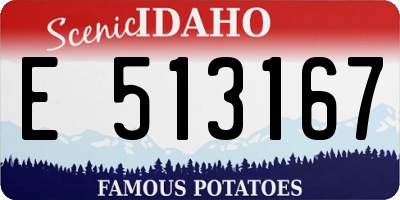 ID license plate E513167