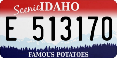 ID license plate E513170
