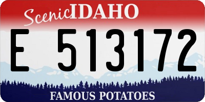 ID license plate E513172