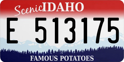 ID license plate E513175