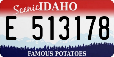 ID license plate E513178
