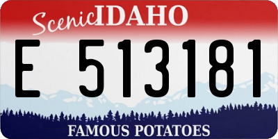 ID license plate E513181