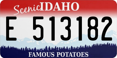 ID license plate E513182