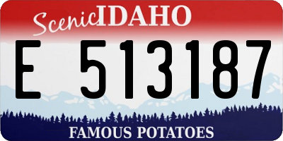 ID license plate E513187