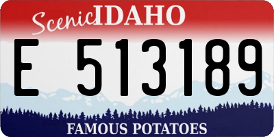 ID license plate E513189