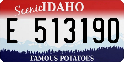 ID license plate E513190