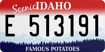 ID license plate E513191