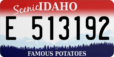 ID license plate E513192