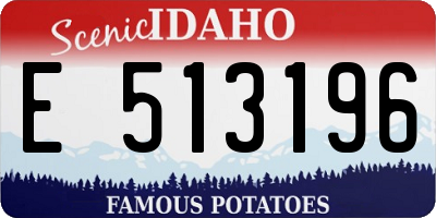 ID license plate E513196
