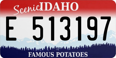 ID license plate E513197