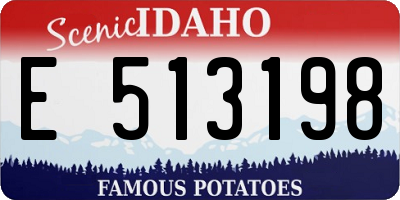 ID license plate E513198