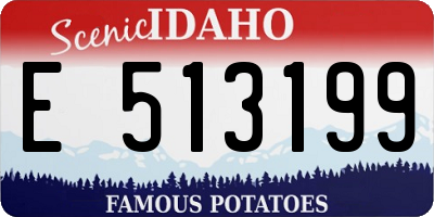 ID license plate E513199