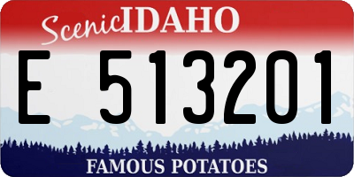 ID license plate E513201