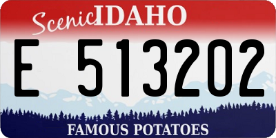 ID license plate E513202