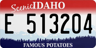 ID license plate E513204