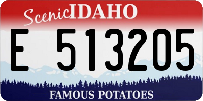 ID license plate E513205