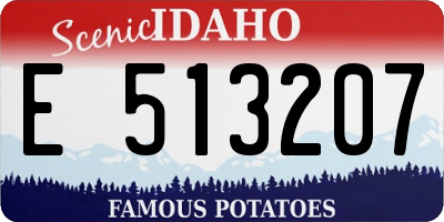 ID license plate E513207