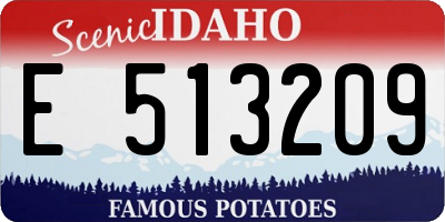 ID license plate E513209