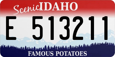 ID license plate E513211