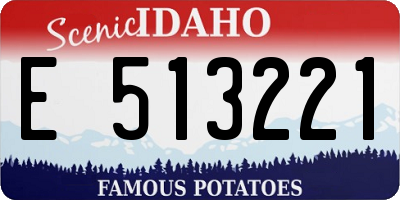 ID license plate E513221