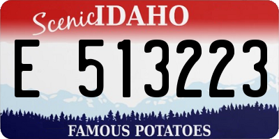 ID license plate E513223