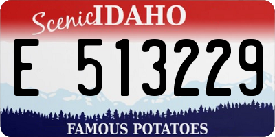 ID license plate E513229