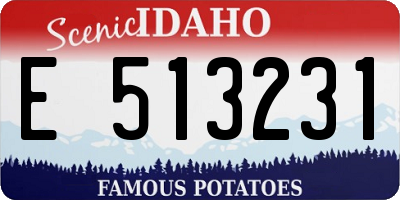 ID license plate E513231
