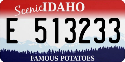 ID license plate E513233