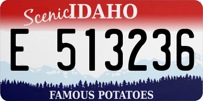 ID license plate E513236