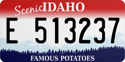 ID license plate E513237