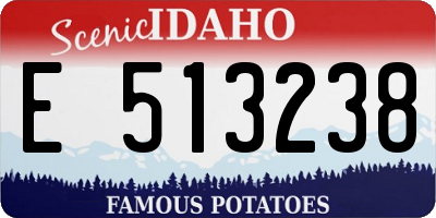 ID license plate E513238