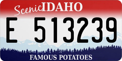 ID license plate E513239