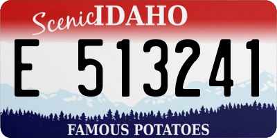 ID license plate E513241