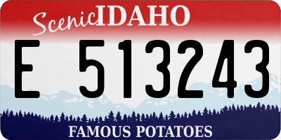 ID license plate E513243
