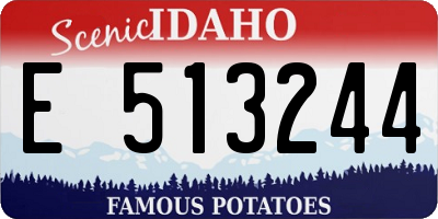 ID license plate E513244