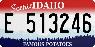 ID license plate E513246