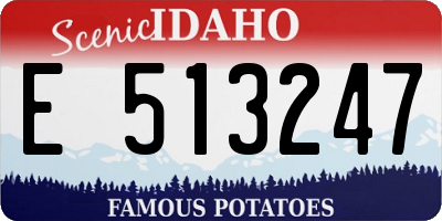 ID license plate E513247