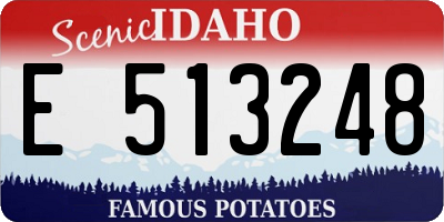 ID license plate E513248