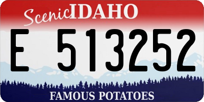 ID license plate E513252
