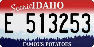 ID license plate E513253