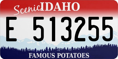 ID license plate E513255
