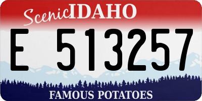 ID license plate E513257