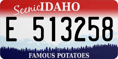 ID license plate E513258